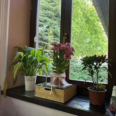 Prenociste Regina 3*